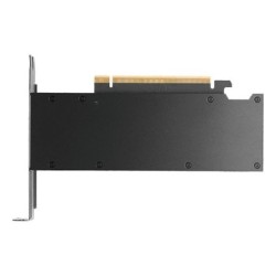 PNY Quadro Nvidia RTX PRO 2000 Blackwell - OEM