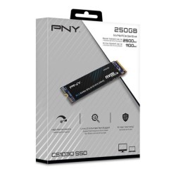 PNY CS1030 M.2 GEN3 250GB