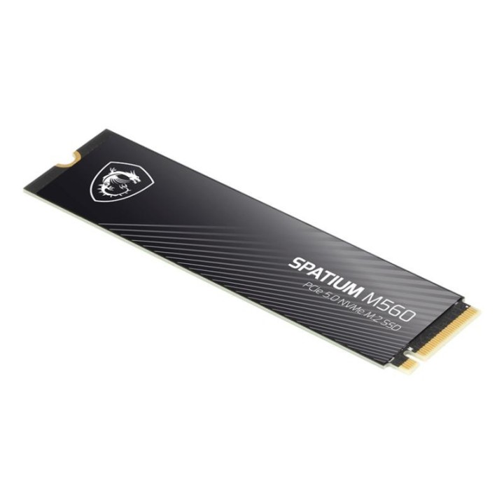 MSI Spatium M560 PCIe 5.0 NVMe M.2 1TB