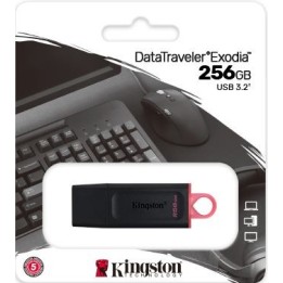 Clé Usb 3.2 Kingston 256G°