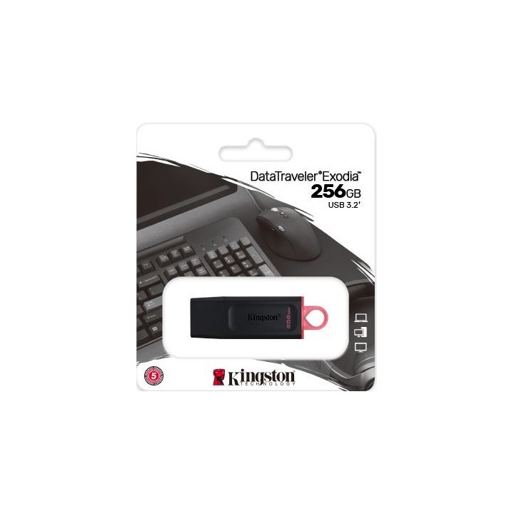 Clé Usb 3.2 Kingston 256G°