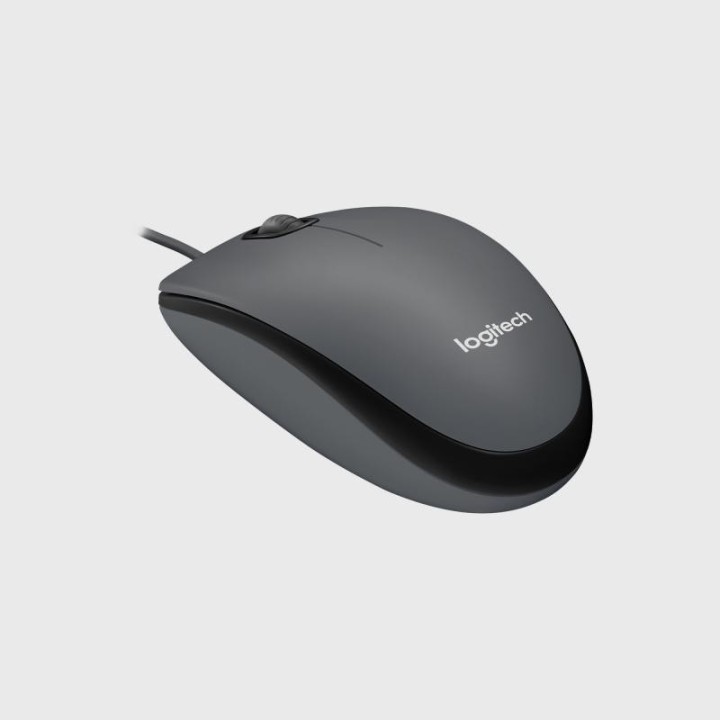 Logitech M100 souris Bureau Ambidextre USB Type-A Optique 1000 DPI