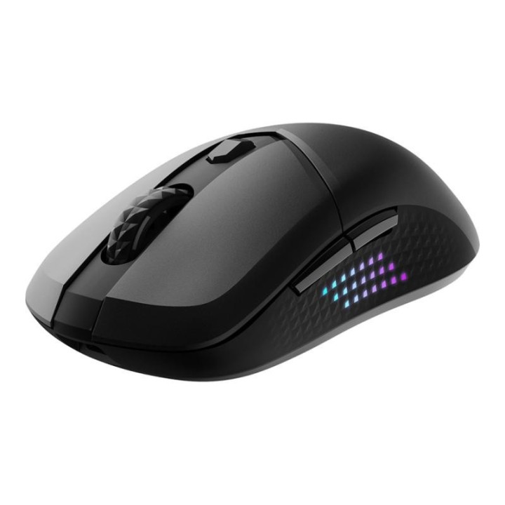 Souris MSI Versa 300 Elite W
