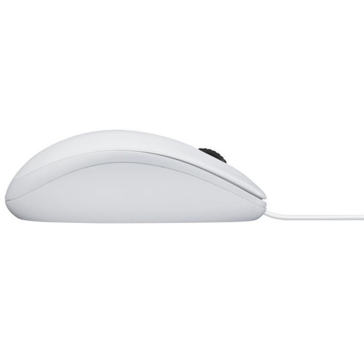 Souris Logitech B100 Optical Fil USB Blanc OEM