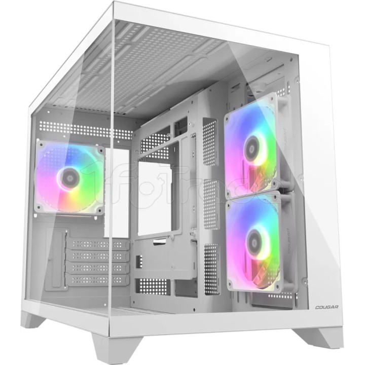 Boîtier Mini Tour Micro ATX Cougar FV150 Mini RGB | Ordiland