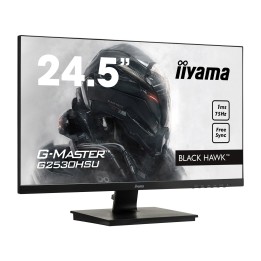Moniteur 24" Iiyama G2530HSU-B1