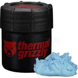 Mastic Thermique Thermal Grizzly Putty Advance 30g | Ordiland