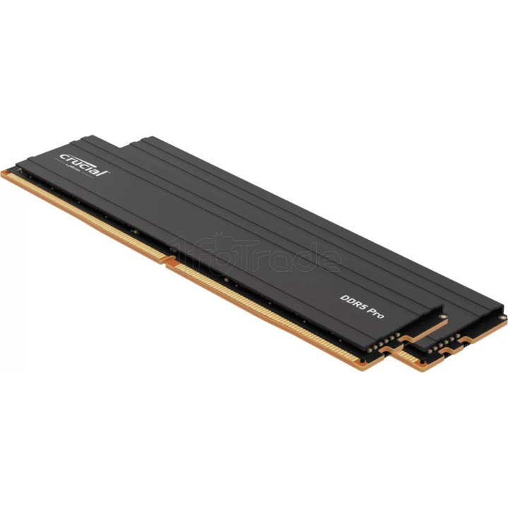 Mémoire 32Go (2x16Go) DIMM DDR5 Crucial Pro 5600MHz | Ordiland