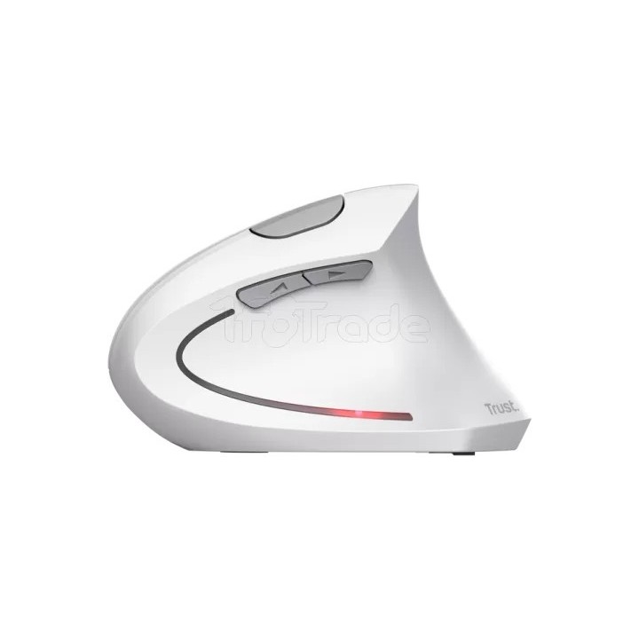 Souris sans fil ergonomique Trust Verto (Blanc) | Ordiland
