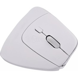 Souris sans fil ergonomique verticale T'nB Ergo Light | Ordiland