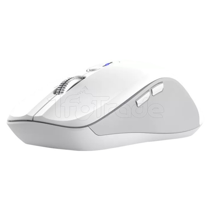 Souris sans fil Trust Ferro (Blanc) | Ordiland
