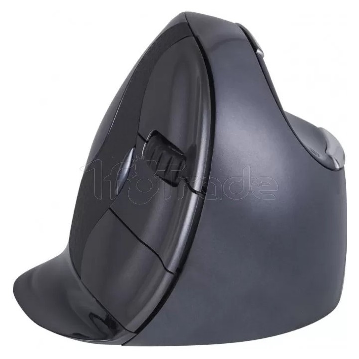 Souris sans fil Evoluent Verticale Small D pour | Ordiland