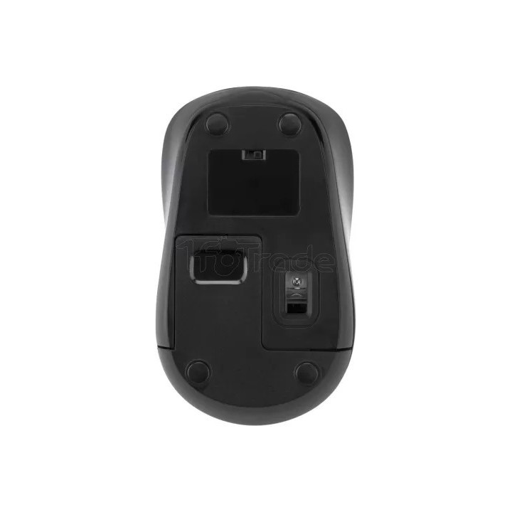 Souris sans fil Targus (Noir) | Ordiland