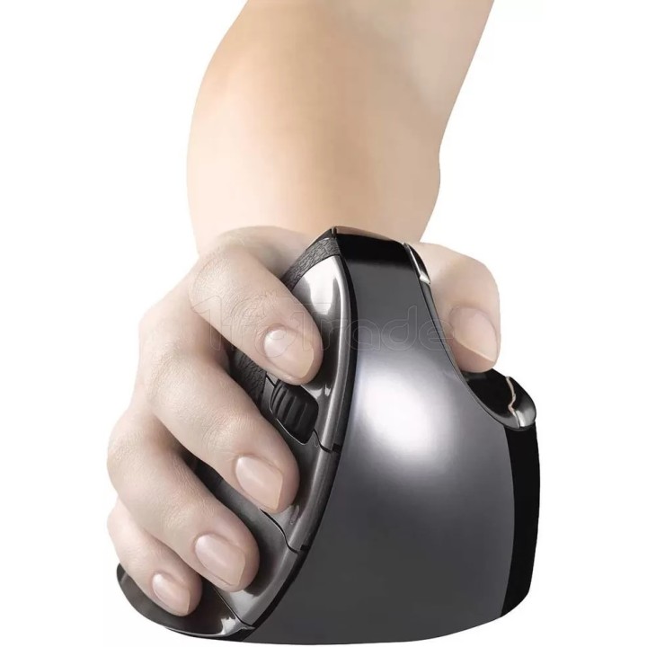 Souris sans fil Evoluent Verticale Small D pour | Ordiland