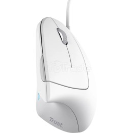 Souris filaire ergonomique Trust Verto (Blanc) | Ordiland