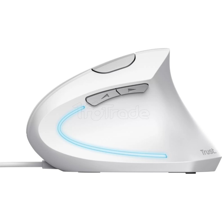 Souris filaire ergonomique Trust Verto (Blanc) | Ordiland