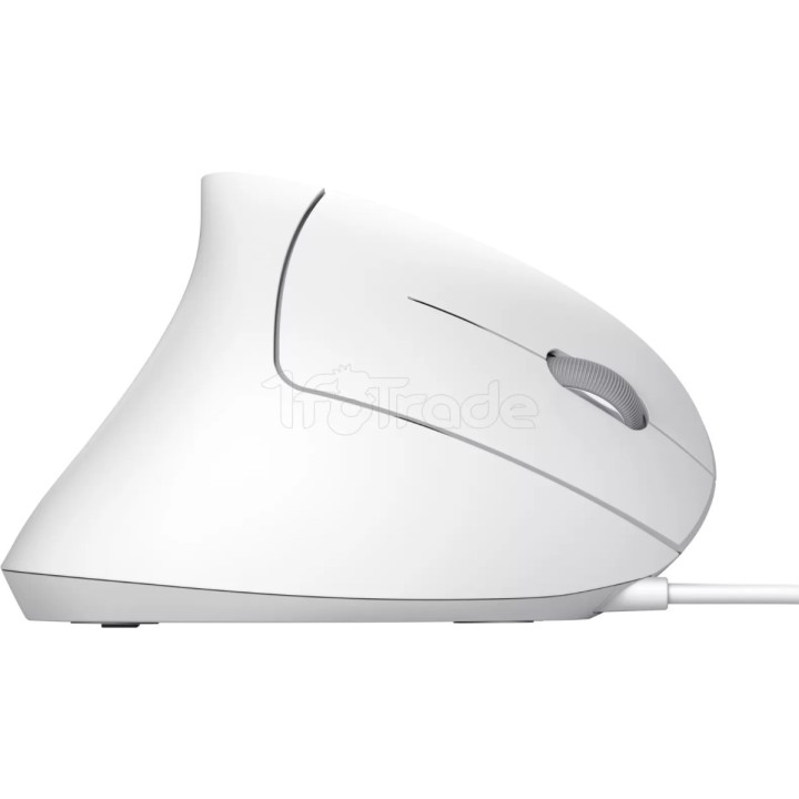 Souris filaire ergonomique Trust Verto (Blanc) | Ordiland