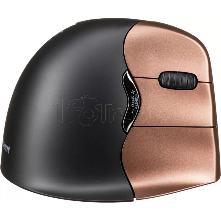 Souris sans fil ergonomique Evoluent VerticalMouse 4 | Ordiland