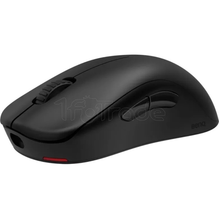 Souris sans fil Gamer BenQ Zowie U2 - M (Noir) | Ordiland