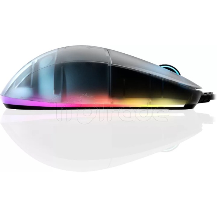 Souris filaire Gamer Endgame Gear XM1 Dark Frost RGB | Ordiland