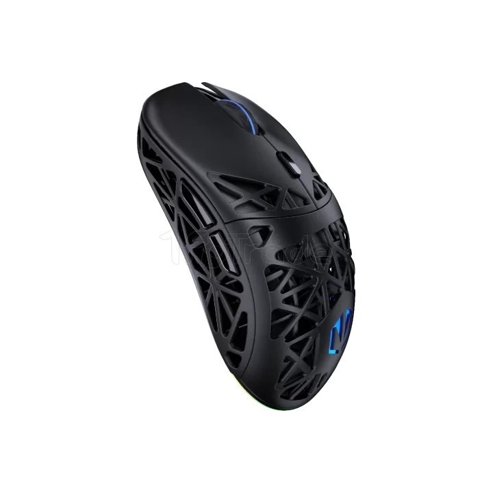 Souris sans fil Gamer Endorfy Liv Plus RGB (Noir) | Ordiland