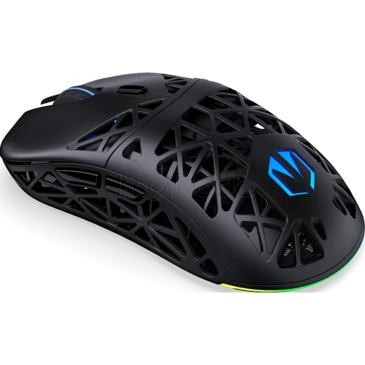 Souris sans fil Gamer Endorfy Liv Plus RGB (Noir) | Ordiland