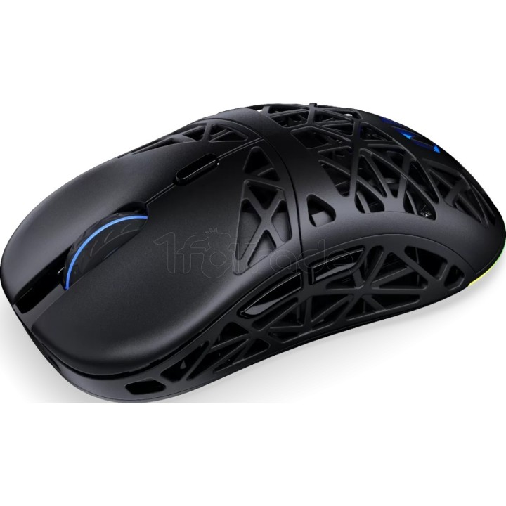Souris sans fil Gamer Endorfy Liv Plus RGB (Noir) | Ordiland