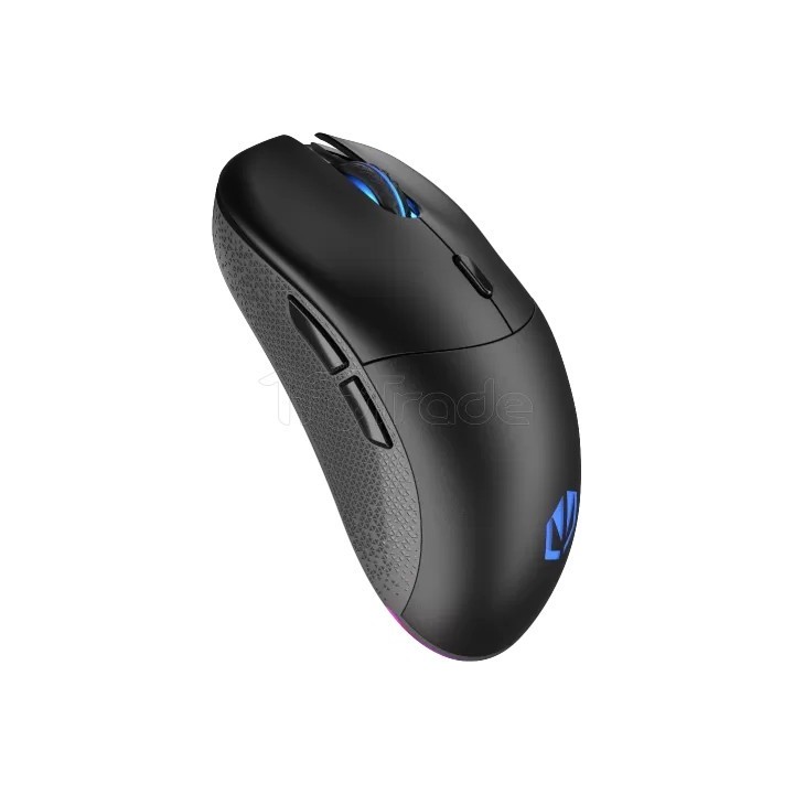 Souris sans fil Gamer Endorfy Gem Plus RGB (Noir) | Ordiland
