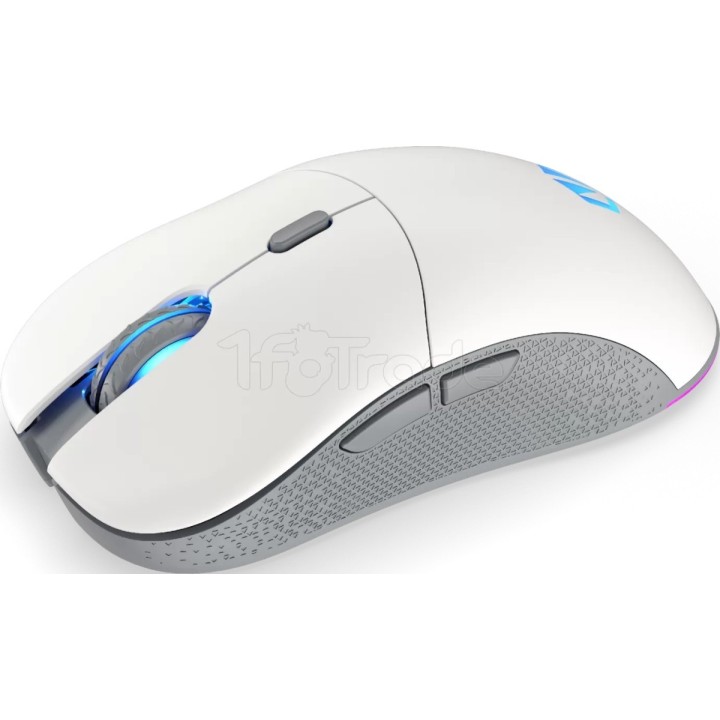 Souris sans fil Gamer Endorfy Gem Plus Onyx RGB | Ordiland