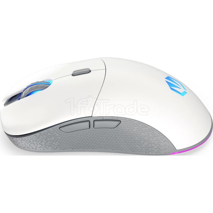 Souris sans fil Gamer Endorfy Gem Plus Onyx RGB | Ordiland