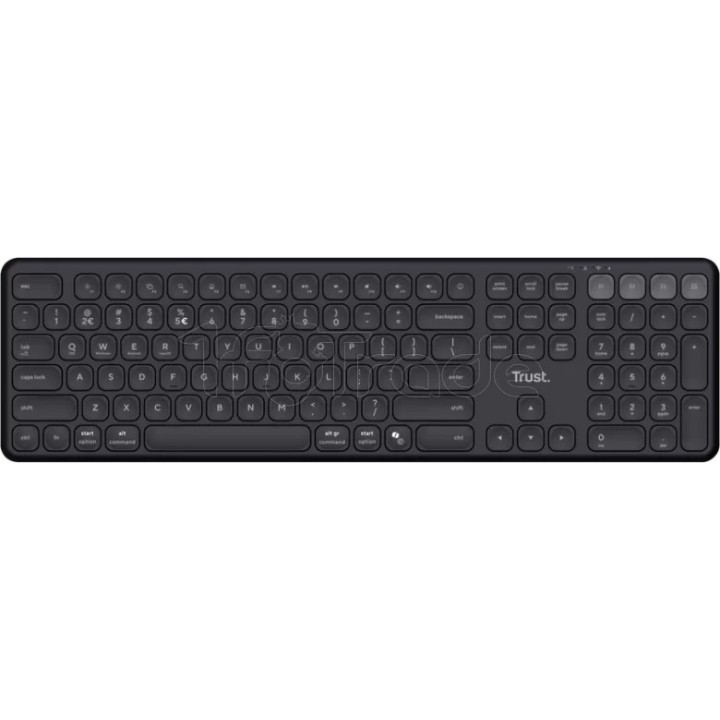 Clavier sans fil Trust Vaiya (Noir) | Ordiland