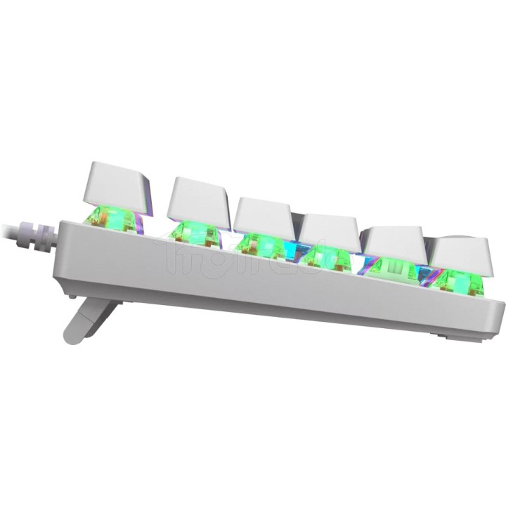 Clavier Gamer mécanique (Red Switch) Cougar Ultimus | Ordiland