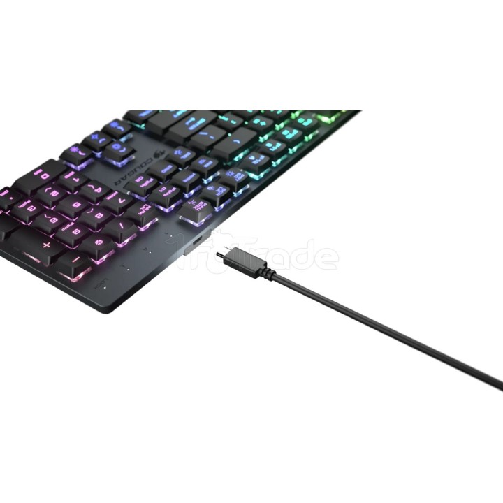 Clavier Gamer mécanique (Optical Switch Red) Cougar | Ordiland