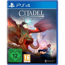 Jeux PS4 : Citadel Forged With Fire - Occasion | Ordiland