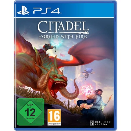 Jeux PS4 : Citadel Forged With Fire - Occasion