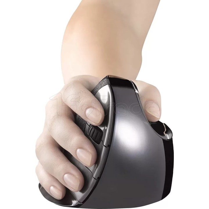 Souris sans fil Evoluent Verticale Medium D pour | Ordiland
