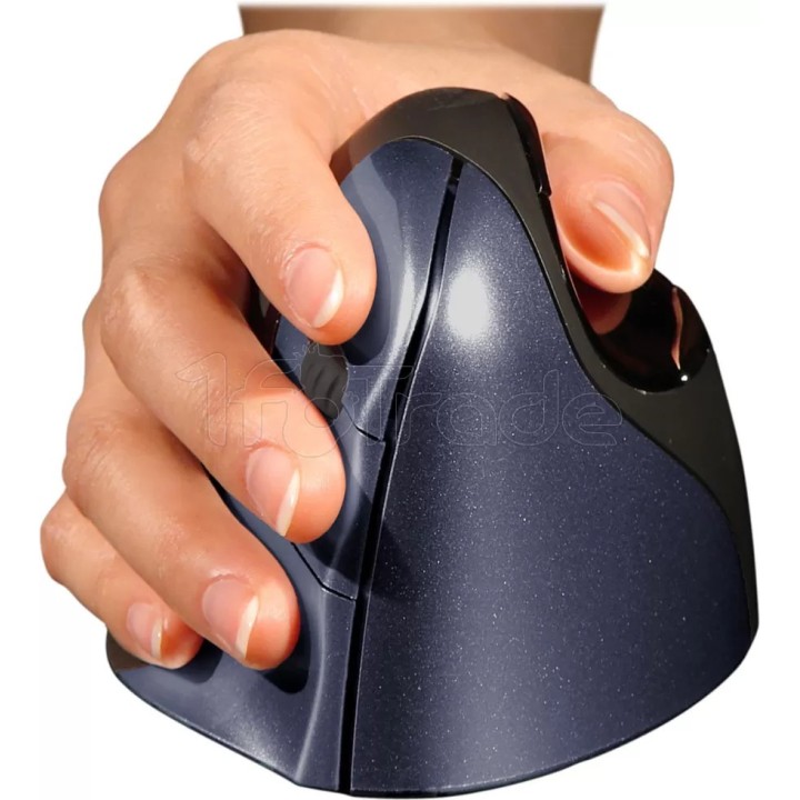 Souris sans fil Evoluent Verticale 4 pour droitier | Ordiland