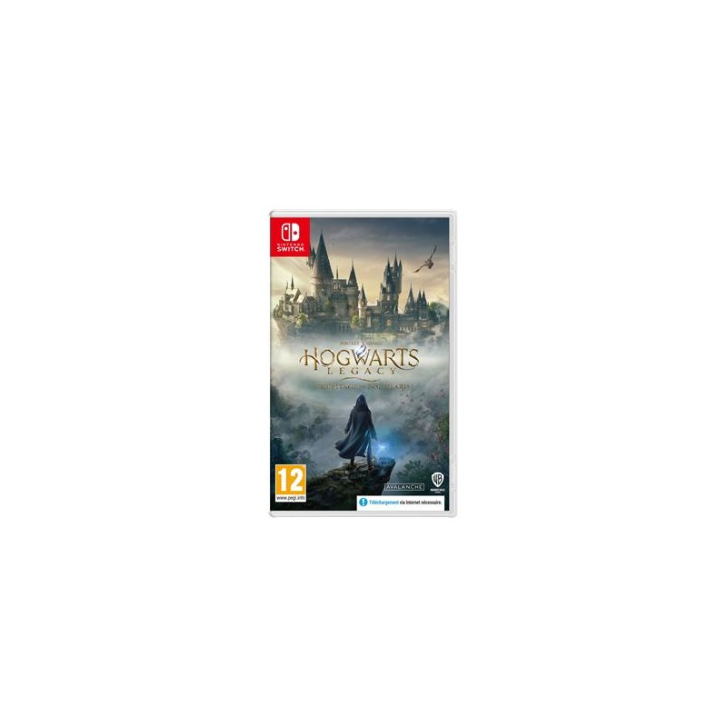 Jeux Nintendo Switch : Hogwarts Legacy - Occasion