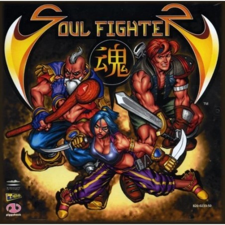 Jeux Dreamcast : Soul Fighter (Complet) - Occasion
