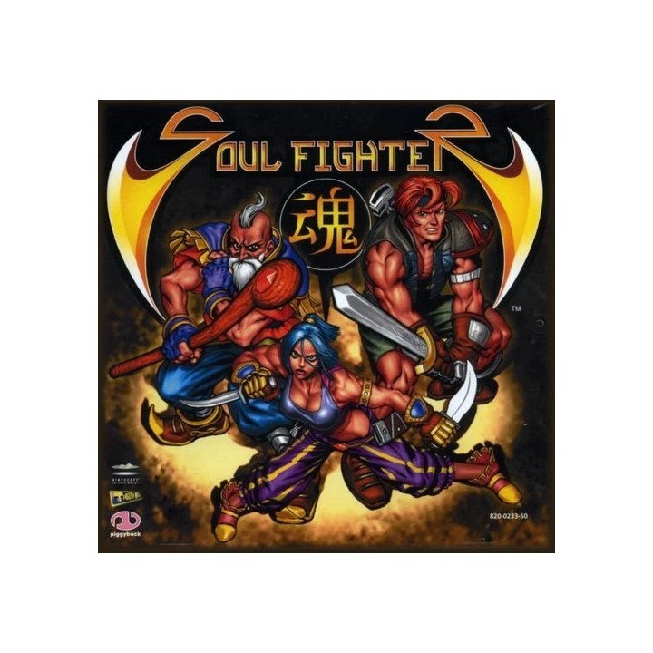 Jeux Dreamcast : Soul Fighter (Complet) - Occasion | Ordiland