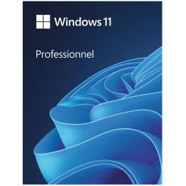 Microsoft Windows 11 Professionnel | Ordiland