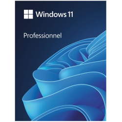 Microsoft Windows 11 Professionnel