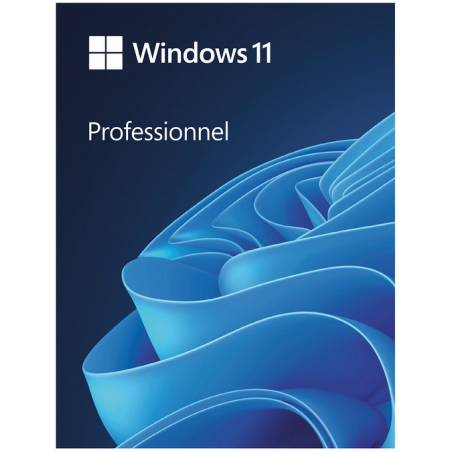 Microsoft Windows 11 Professionnel
