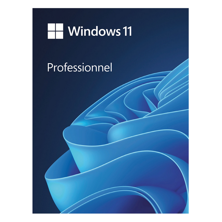 Microsoft Windows 11 Professionnel | Ordiland