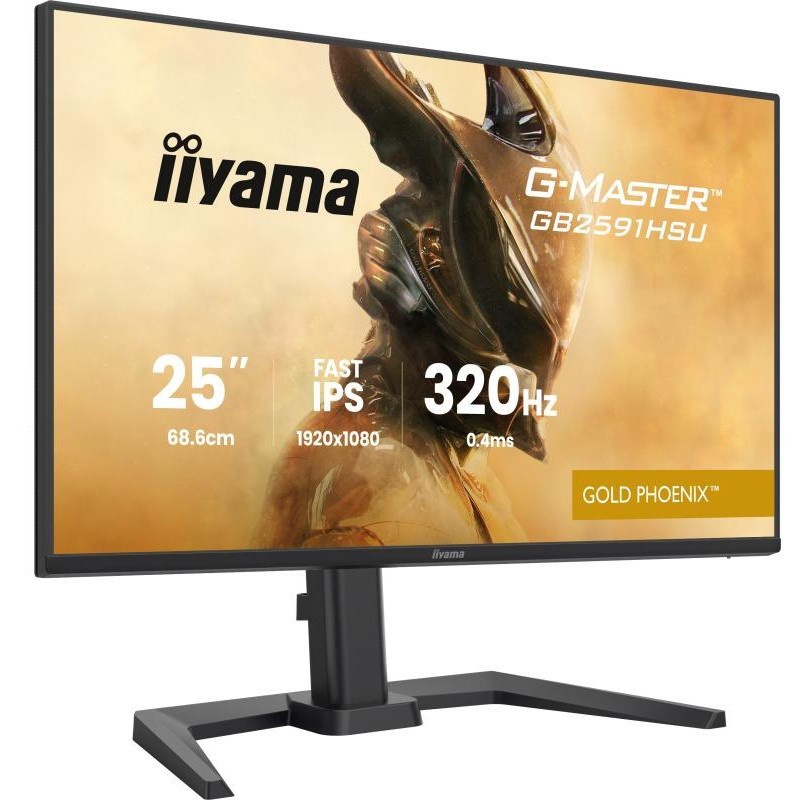 Écran PC Gaming iiyama GB2591HSU-B1 24.5" Full HD