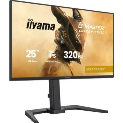Écran PC Gaming iiyama GB2591HSU-B1 24.5" Full HD