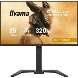 Écran PC Gaming iiyama GB2591HSU-B1 24.5" Full HD