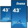 Écran d'affichage dynamique iiyama LH4341UHS-B2 43" 4K Ultra HD