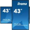Écran PC iiyama LH4360UHS-B2AG 43" 4K Ultra HD
