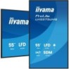 Écran d'affichage dynamique iiyama LH5575UHS-B2AG 54.6" 4K Ultra HD